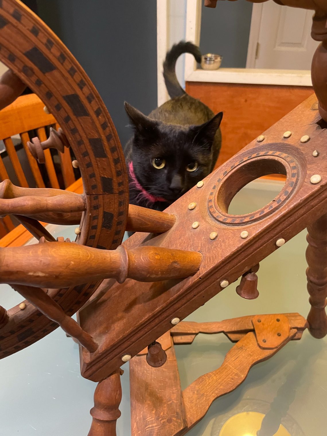 Close up of a spinning wheel with geometric decorations sitting on a glass table. Black cat with red collar in the background.